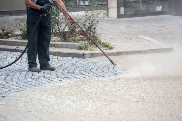 Best Roof Washing  in Deans, NJ